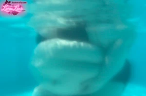 New underwater video and a 12 min flashback video of me stuffing