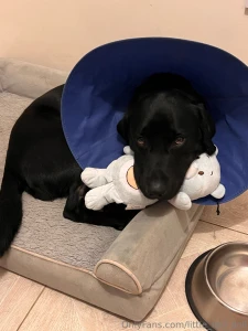 So sid is home he had a little stay in hospital and had his operation