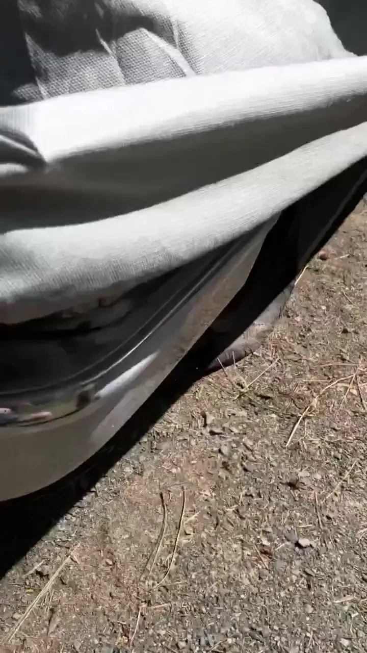 Todays beer run adventure all the classics were out today seen a bel 