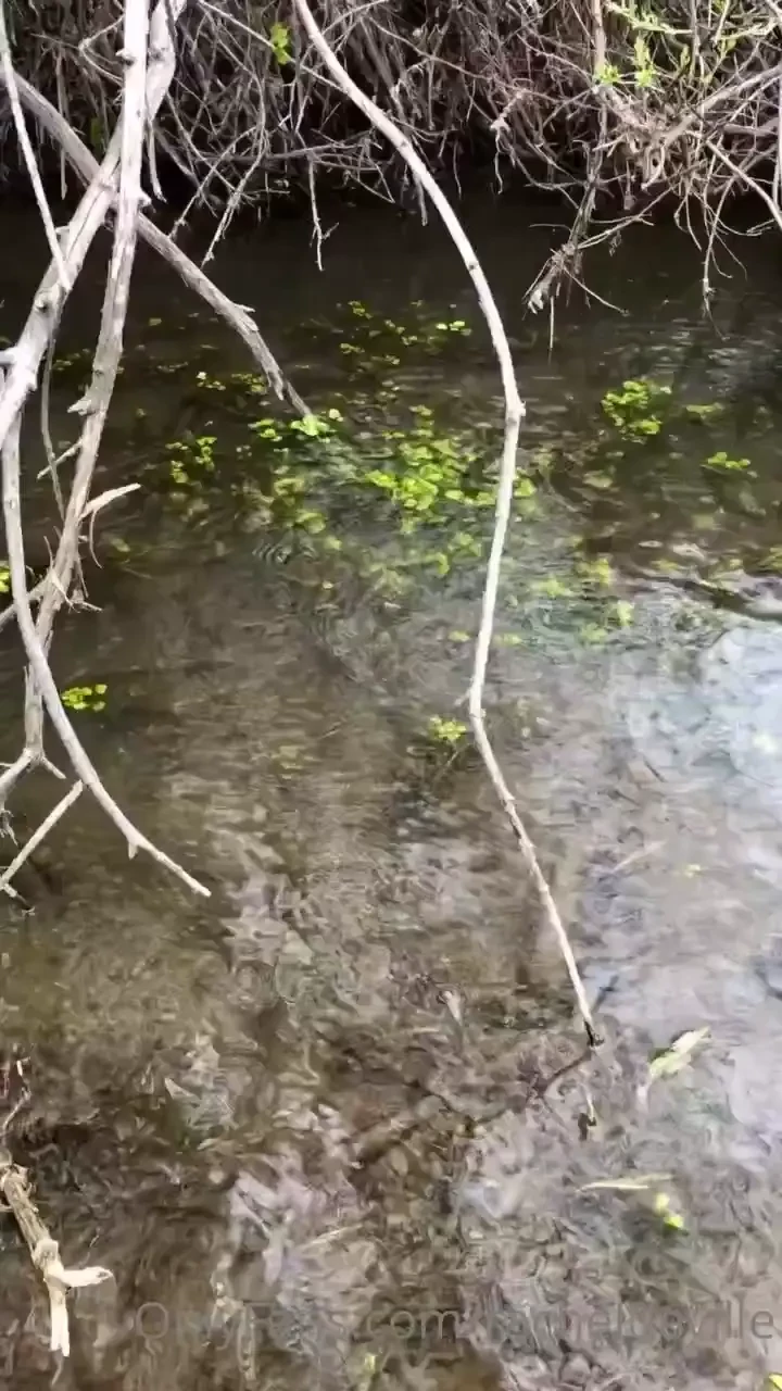 Just a few shots from today before the rain completely down-poured so 