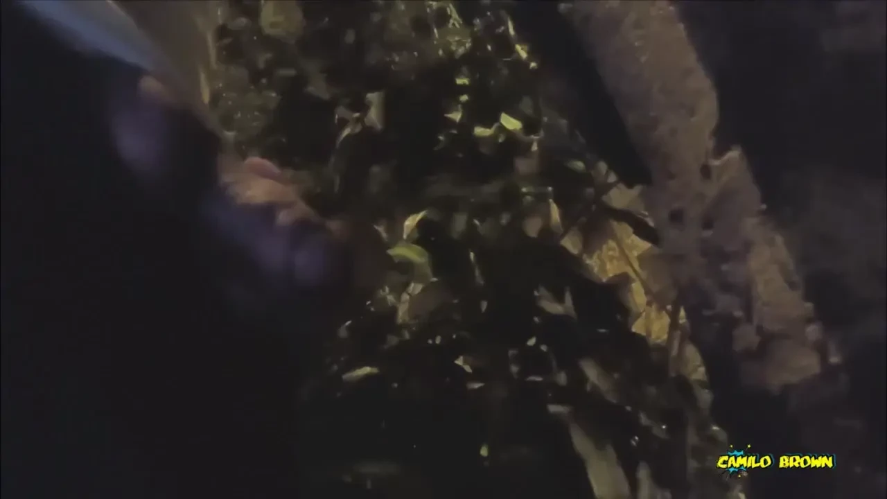 Shhh let s not get caught 