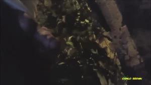 Shhh let s not get caught