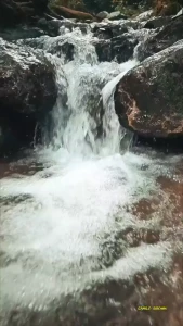 I love hiking part 3