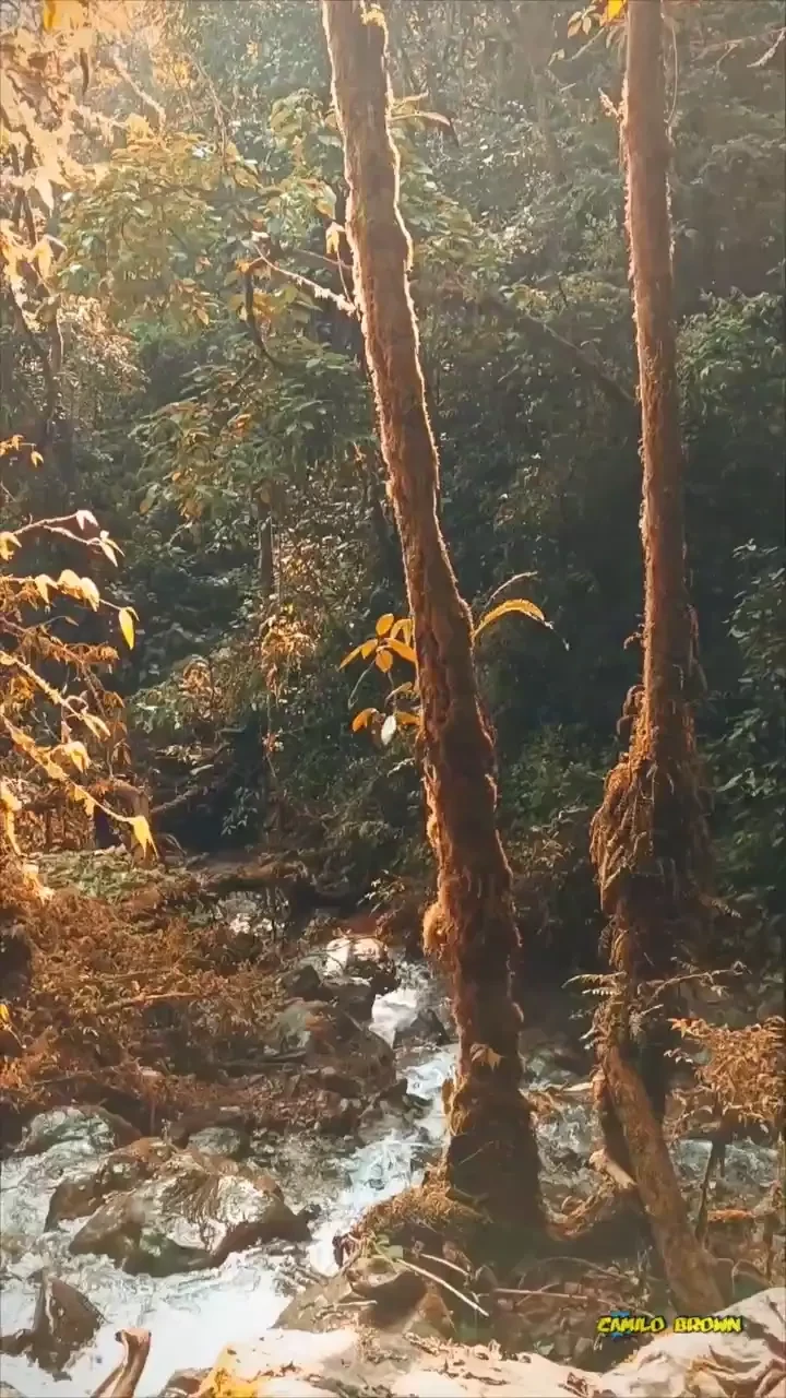 I love hiking part 2 