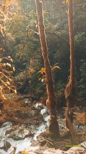 I love hiking part 2