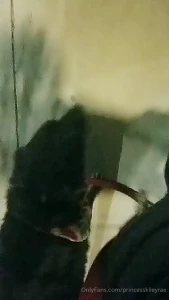 Help realistically https linktr ee princesskiley