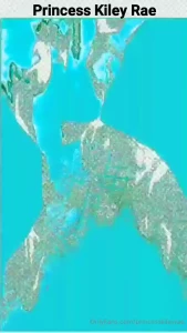 Https www amazon com hz wis https linktr ee princesskiley