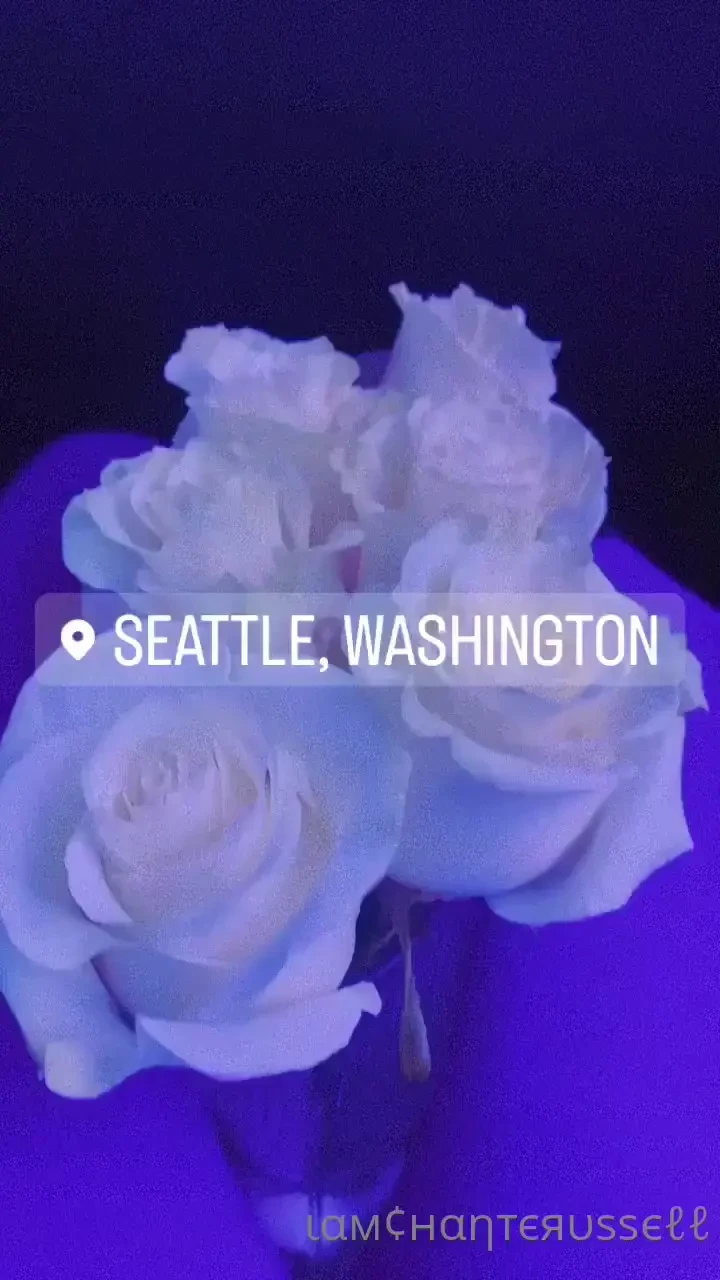 Seattle is always fun till next time 