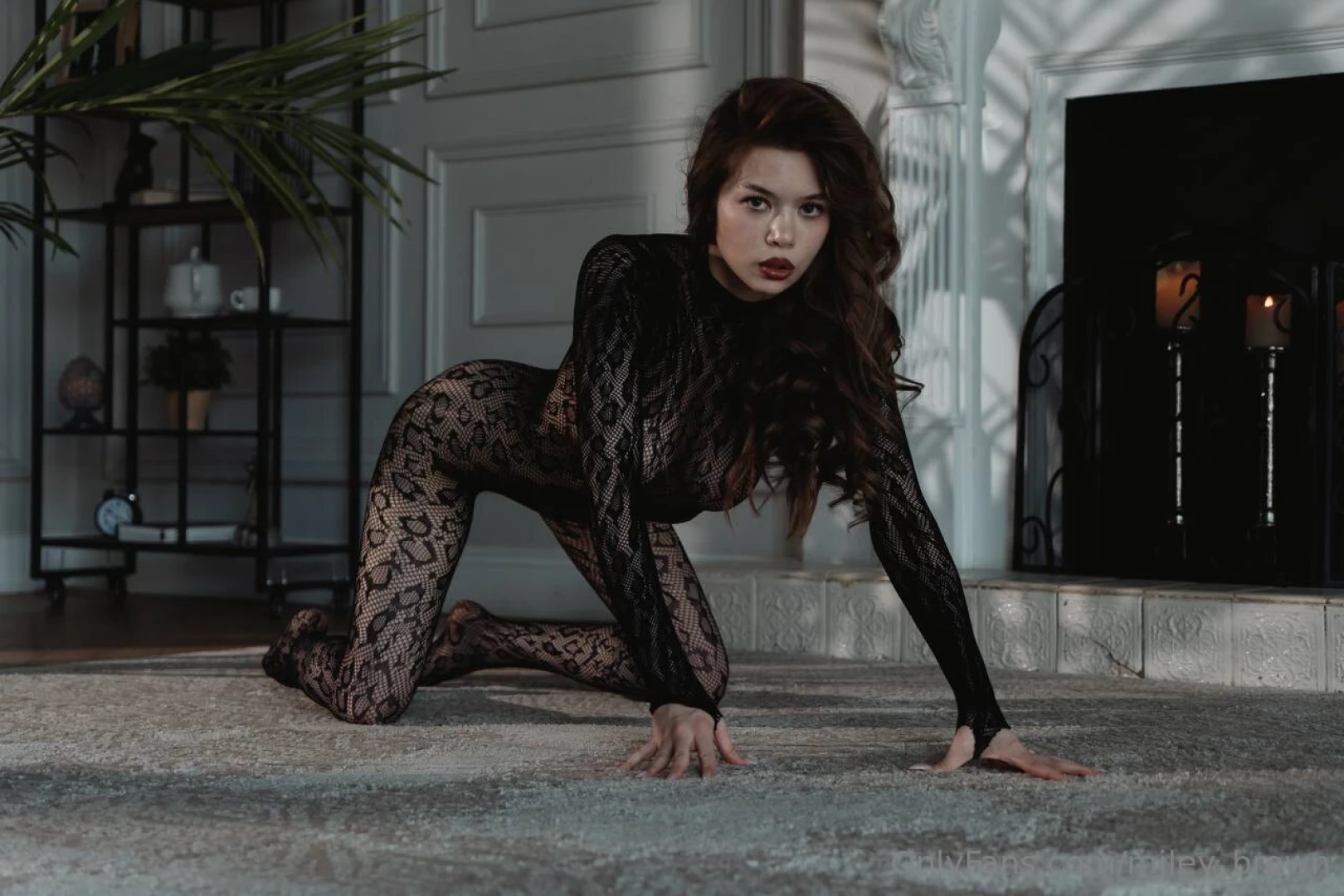 Try to tame me and you ll end up on a leash 