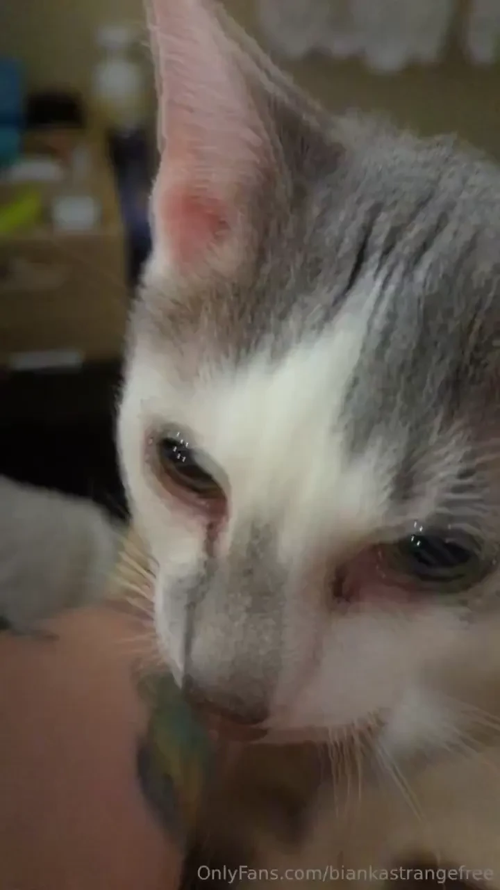 This is my every morning also this is uncensored and you get to see my 