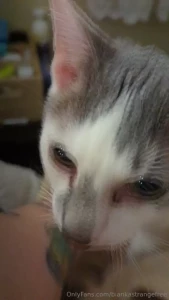 This is my every morning also this is uncensored and you get to see my