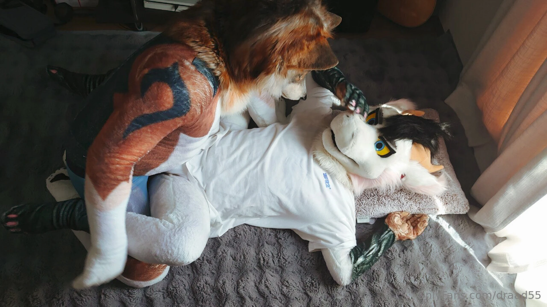 The week before last i visited this suave wolf s house he s really part 1 