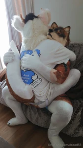 The week before last i visited this suave wolf s house he s really