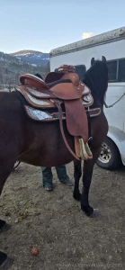 Anything else you wanna see me ride just lmk part 2