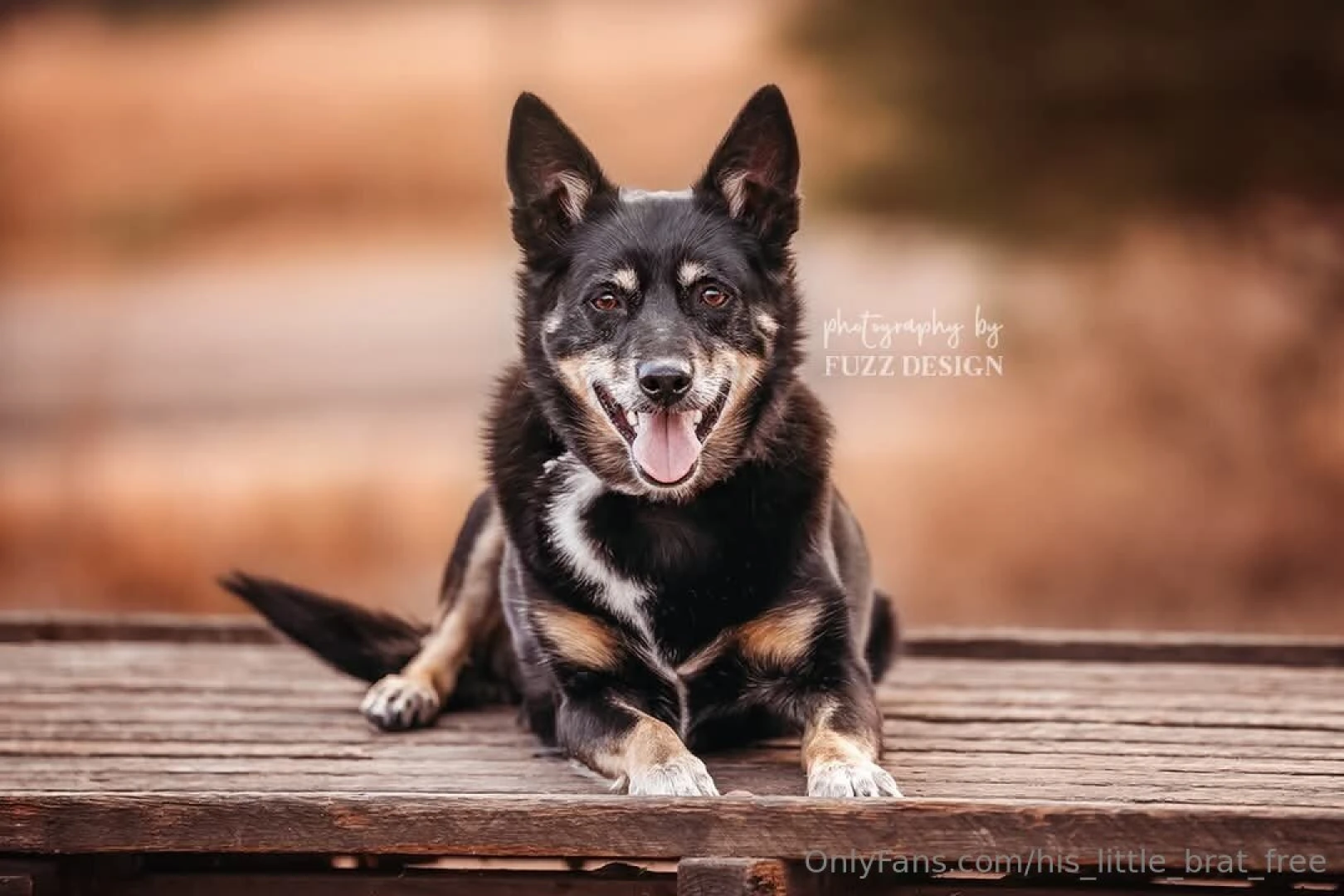 Bribery ok i am trying to win the photo comp to get the free part 1 