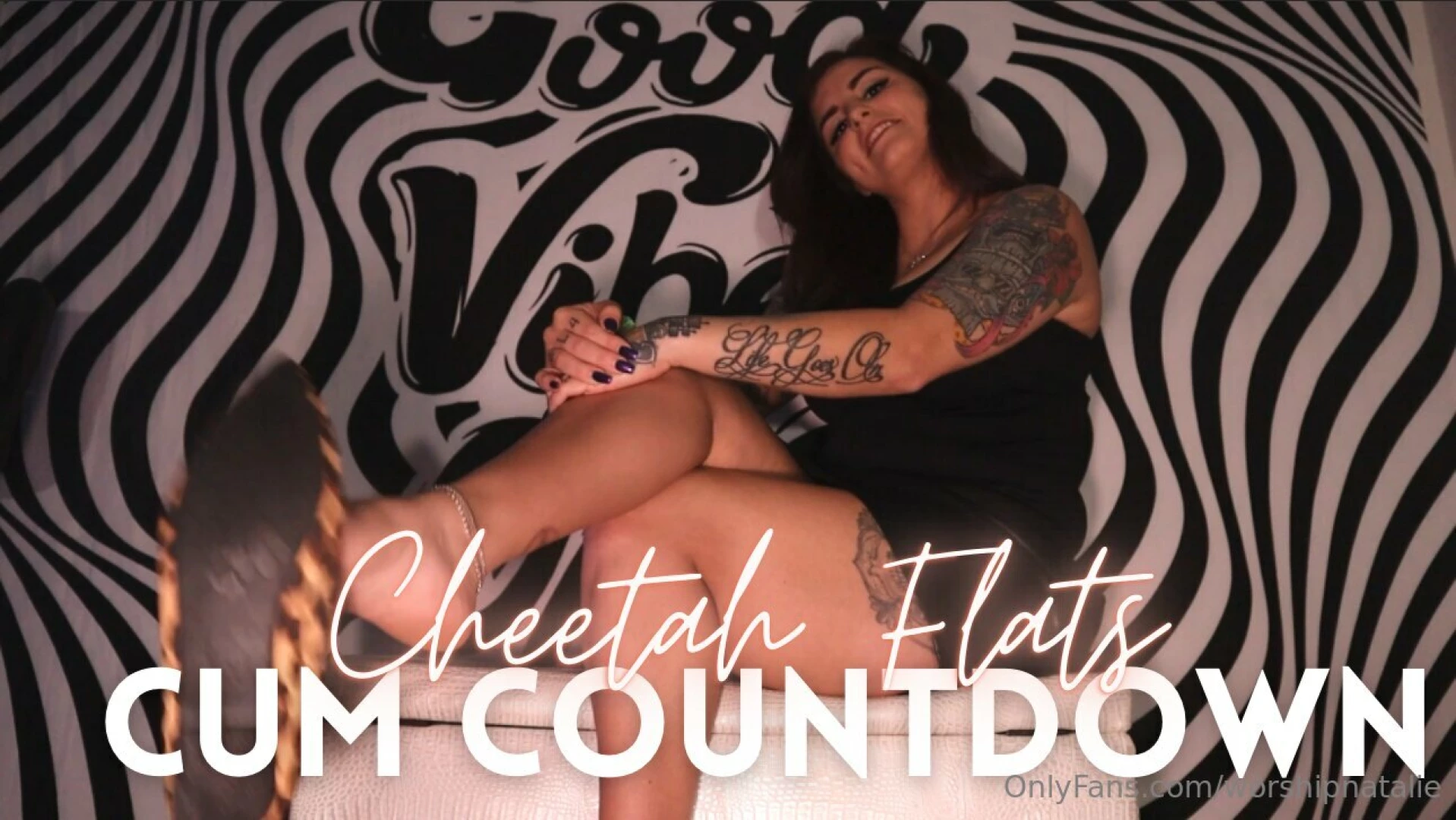 Cheetah flats cum countdown all you need is right here just to see my 