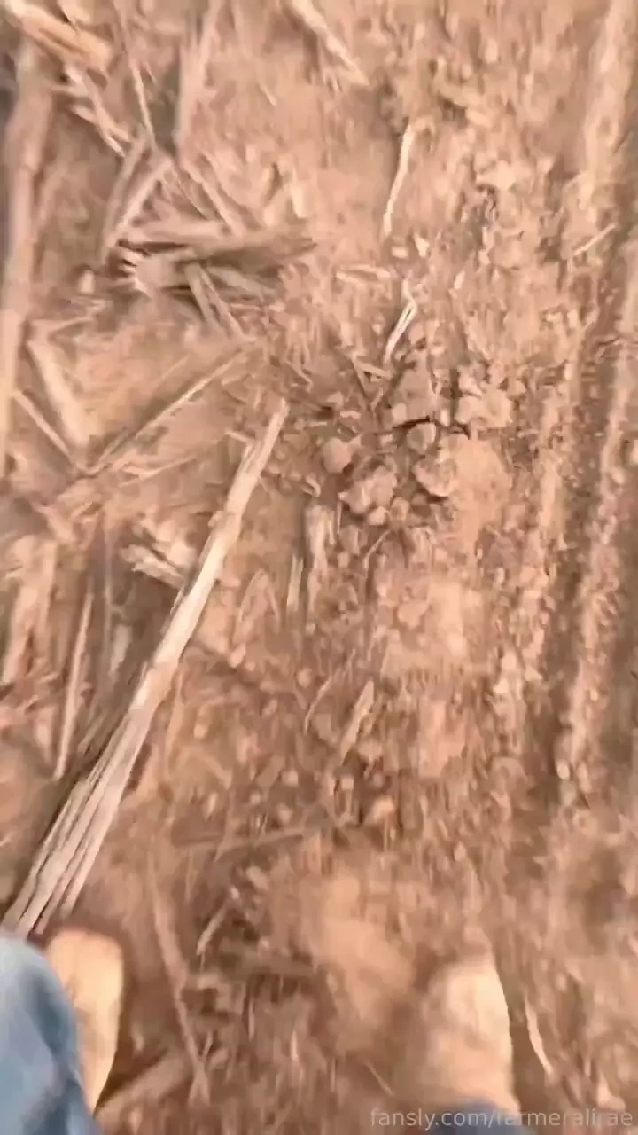 New pee stopped the planter to pee in the middle of the field 