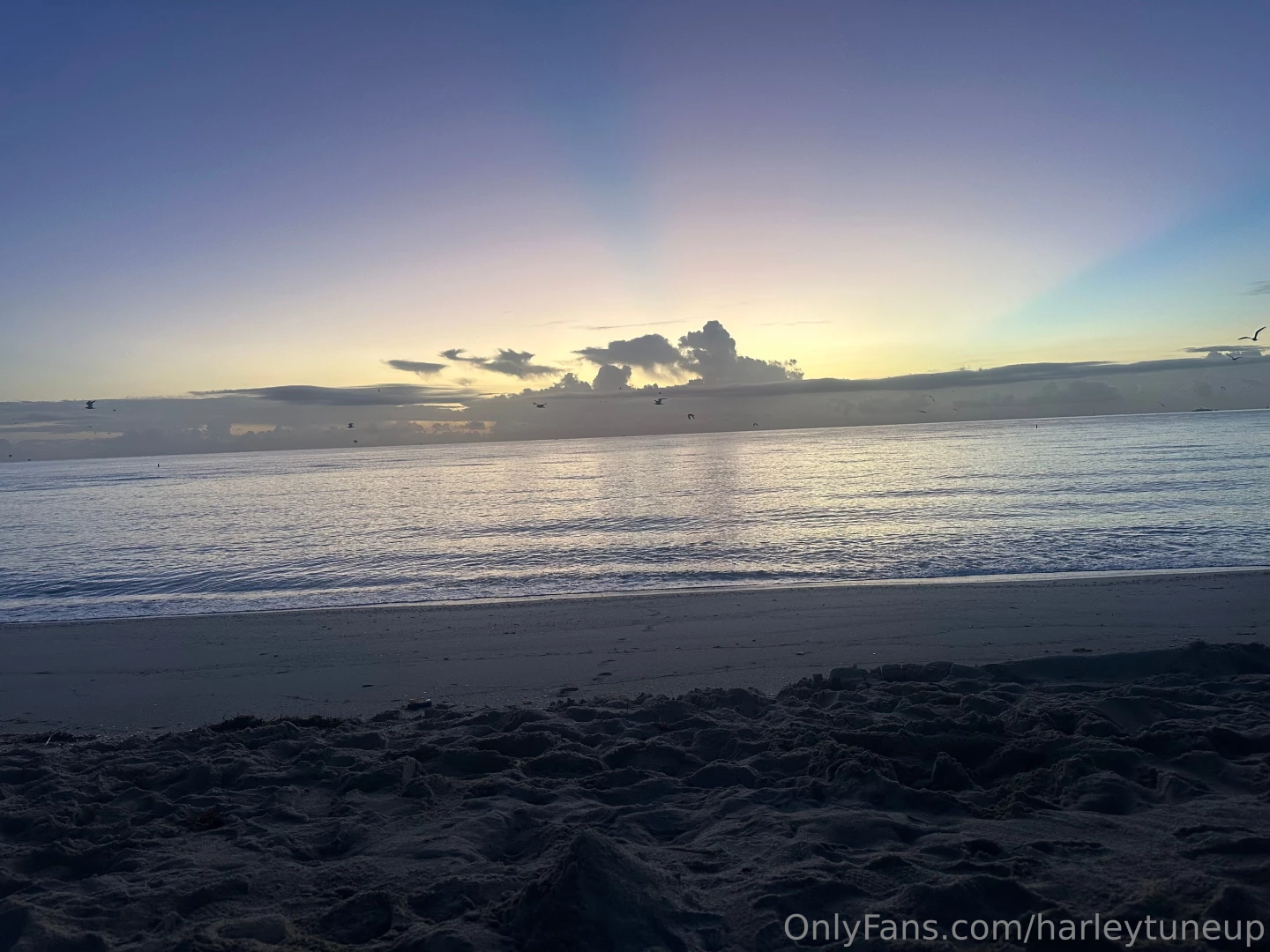 Mornings like this part 7 