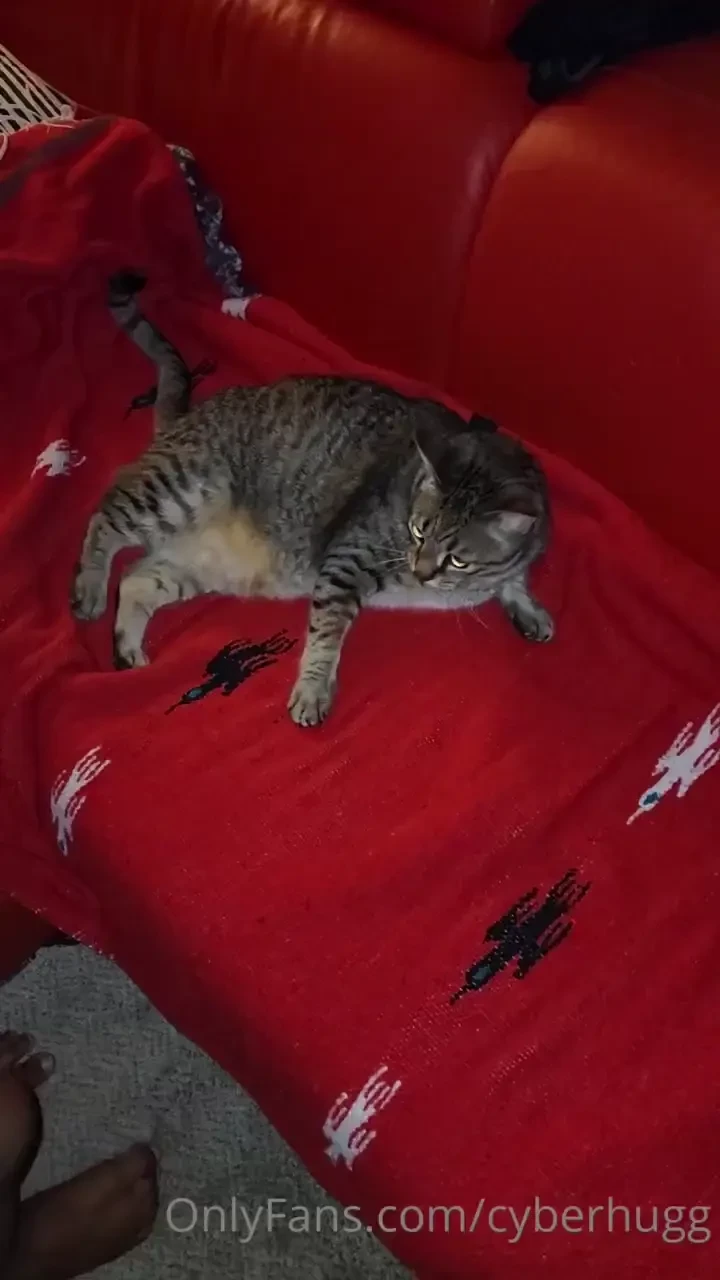 Funfact quintusvaleri is the best workout ever 