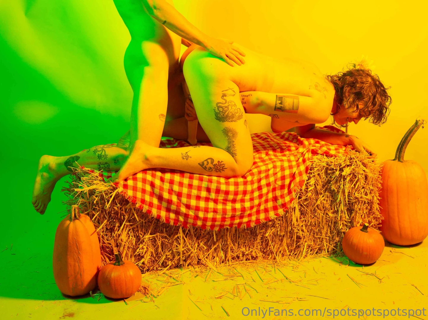 Last fall with pony videos of all these photo sessions are available 