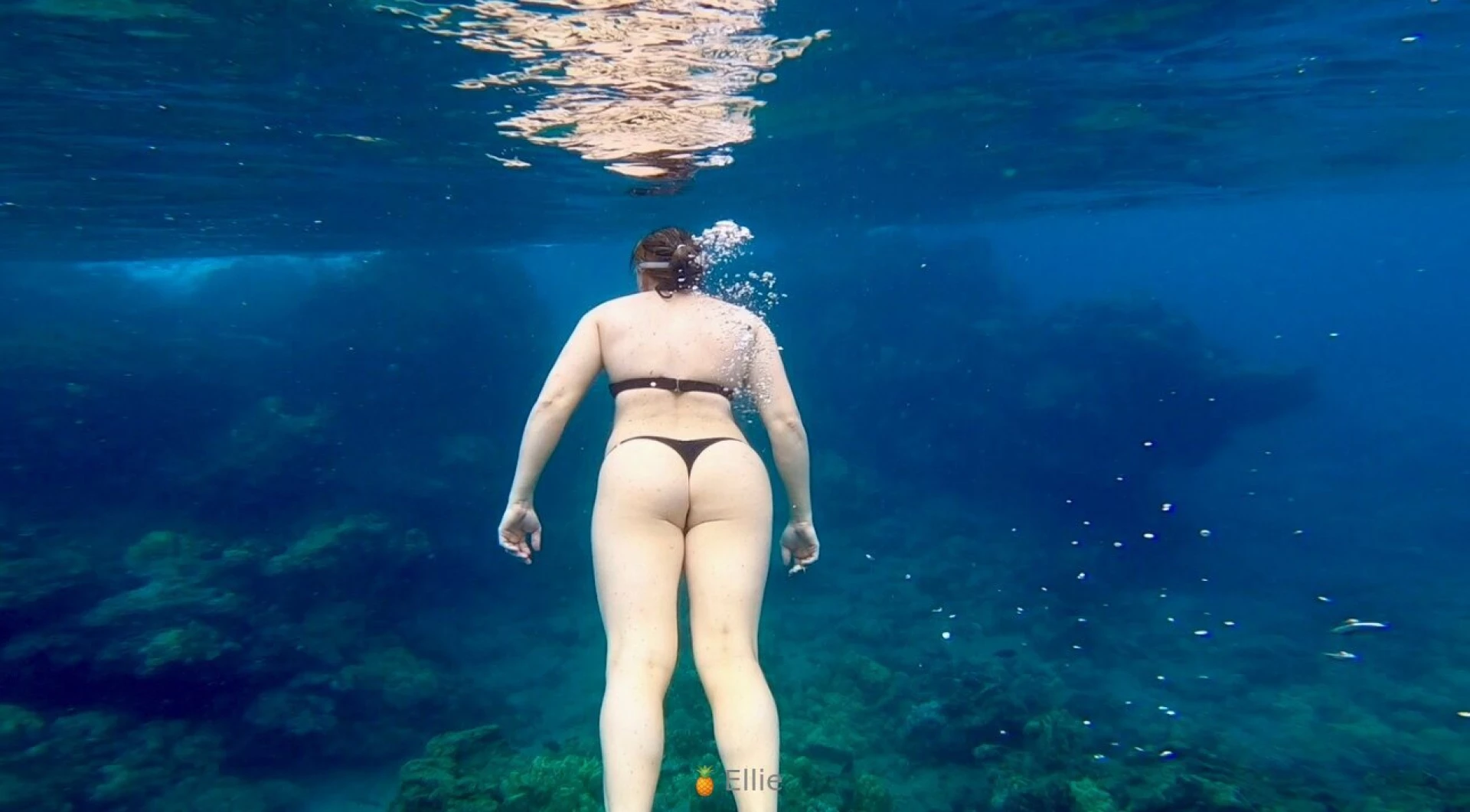 In my happy place under the sea do you like my bikini addiction bikini 