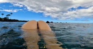 Butt snorkeling at its finest yes that s my bikini addiction suit on