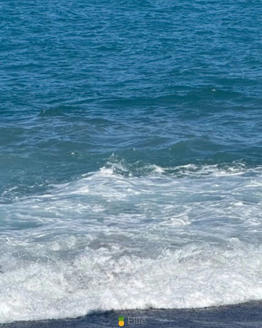 Chasing waves soaking up sun and making a splash wherever i go nothing 