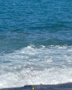 Chasing waves soaking up sun and making a splash wherever i go nothing