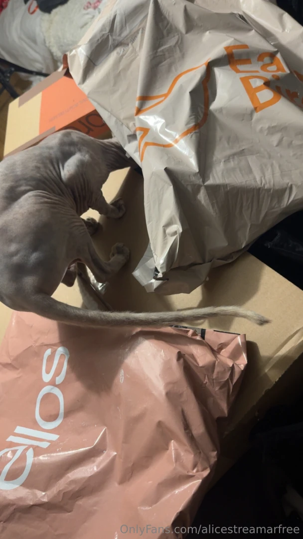 Me and astrid unboxing some gifts from you lovely people thanks once 