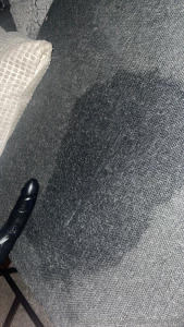 I really have to learn to wear a towel underneath next time