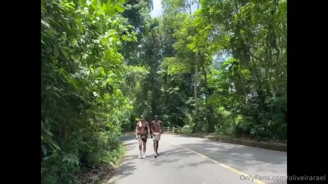 Um passeio quente as matas do rio de janeiro brasil 