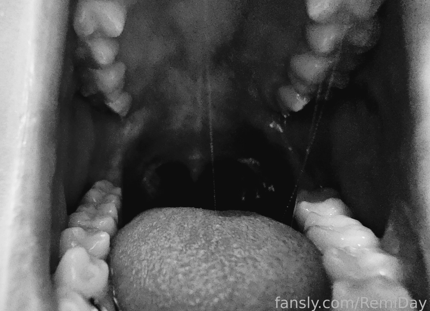 Whats inside mouth tongue 