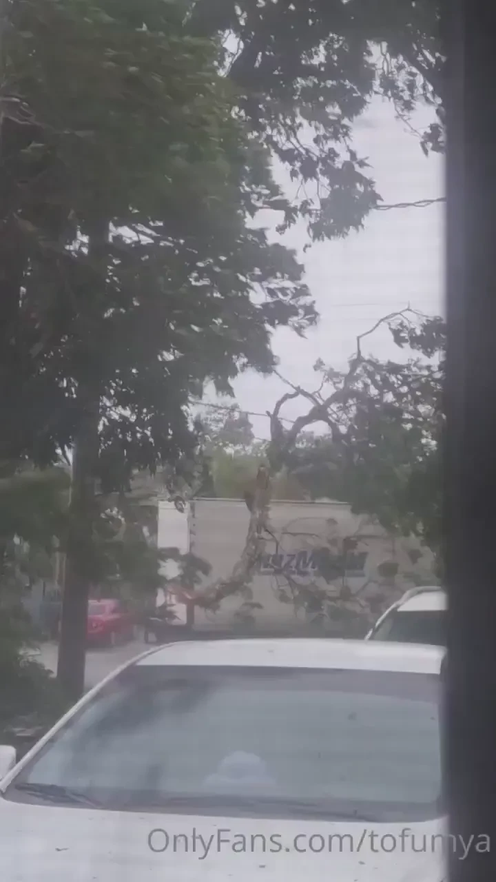 Hewwo bbies i got hit pretty hard with the typhoon it flooded in my part 1 