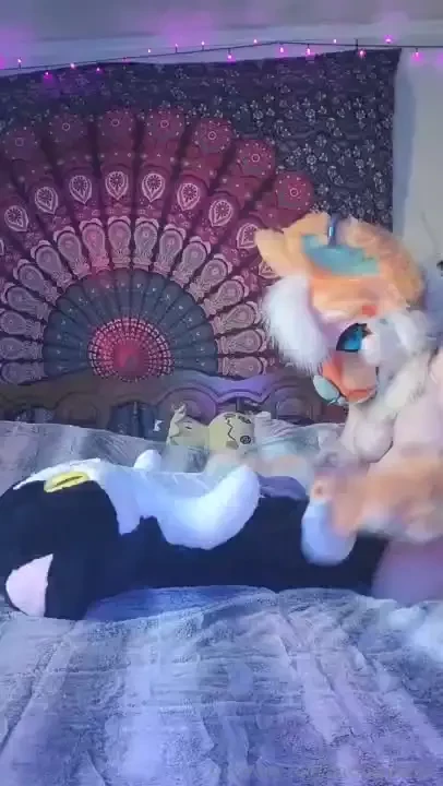 Freebie plushophilia video for all you good simps out there 