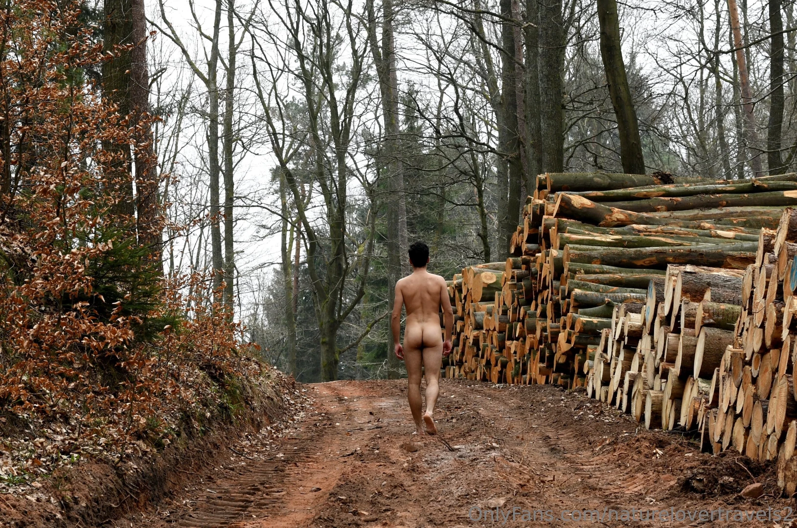 Please respect the forest 