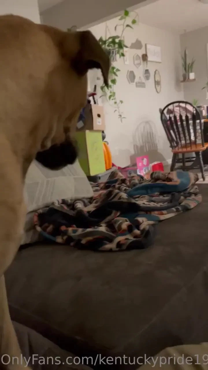 Brandy she is a sweetheart 