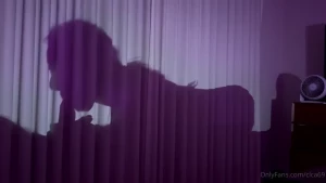 Have you ever seen a silhouette of me fucking