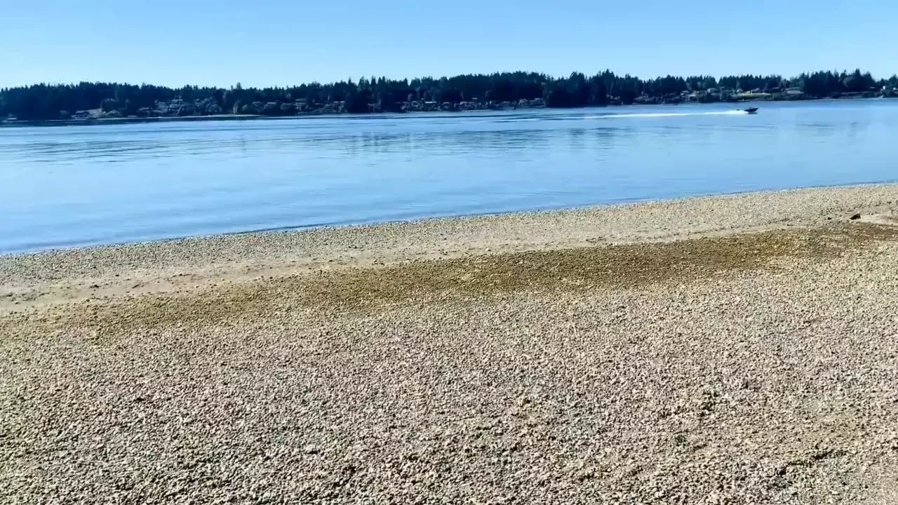 Toes squishing sand my happy place 