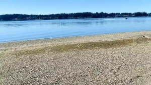 Toes squishing sand my happy place
