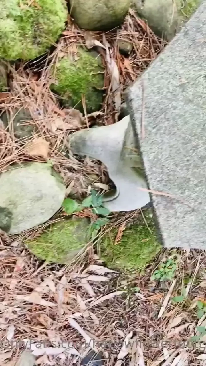 Walking amongst the nature 