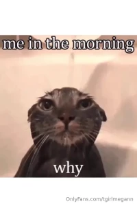 Fav memes part 11