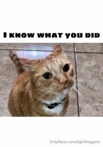 Fav memes part 13
