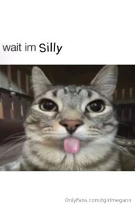Fav memes part 5