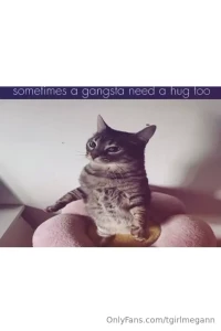 Fav memes part 7
