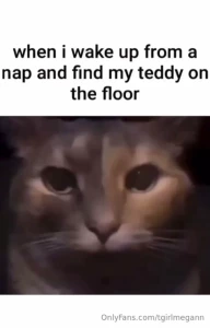 Fav memes part 21