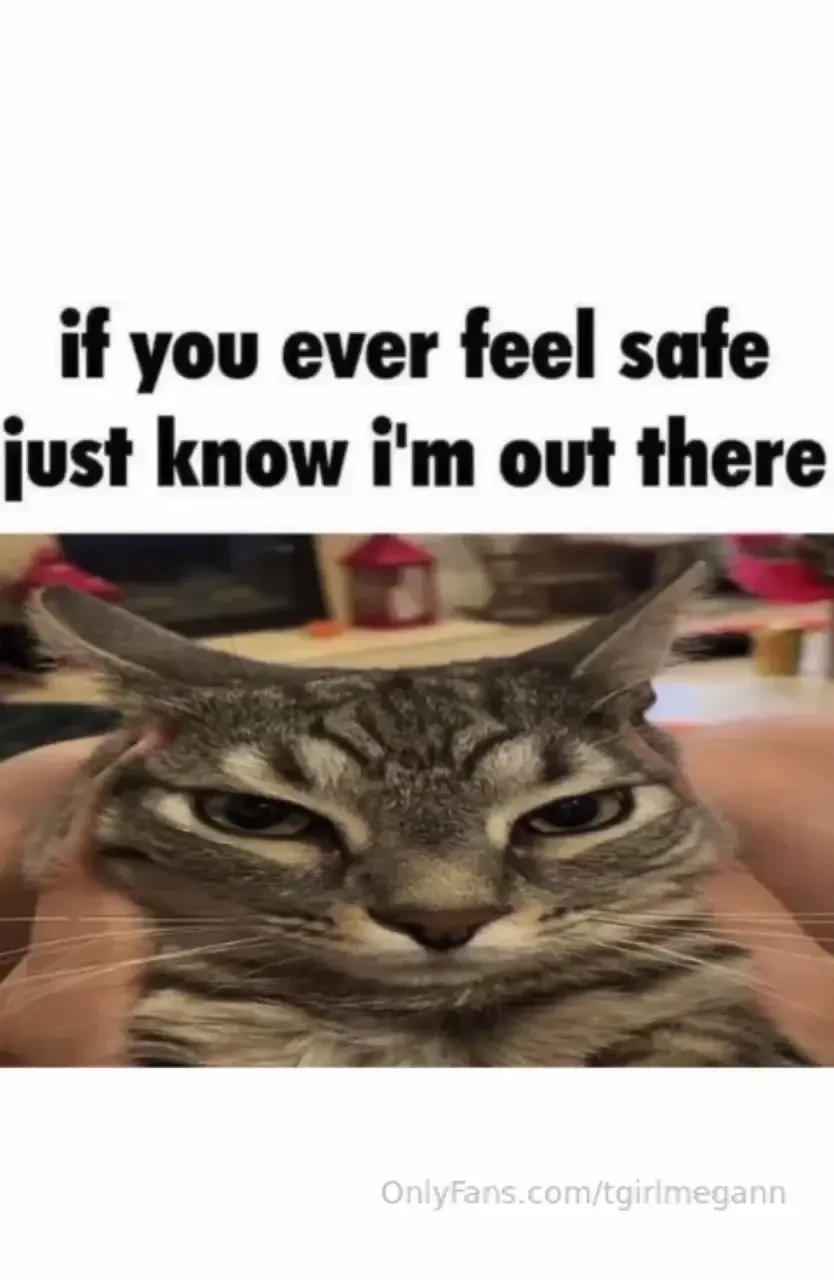 Fav memes part 17 