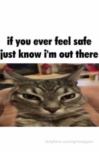 Fav memes part 17