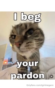 Fav memes part 16