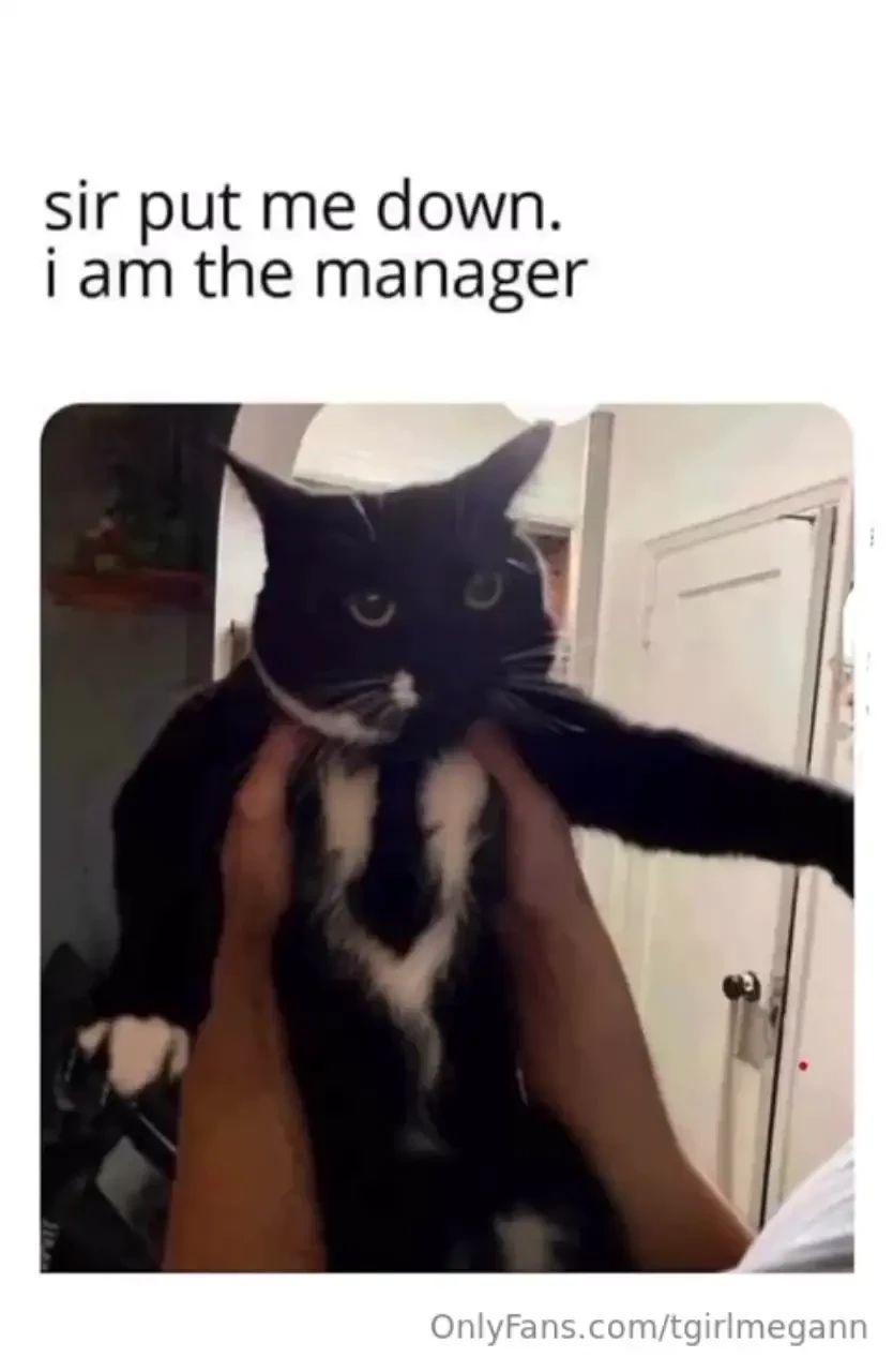 Fav memes 