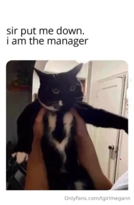 Fav memes